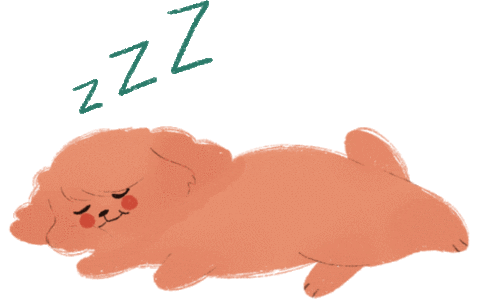 fuzzybunnyph giphyupload bunny rabbit sleeping Sticker
