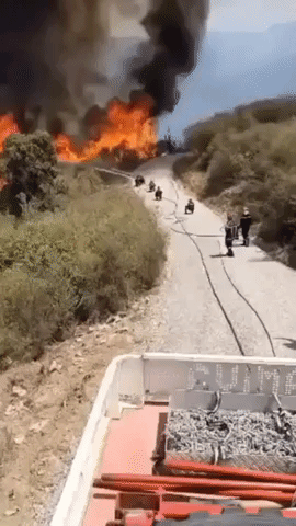 At least 70 Killed in Algerian Wildfires