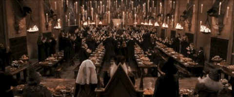 harry potter and the philosophers stone GIF