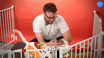 Seth Rogen No GIF by BuzzFeed