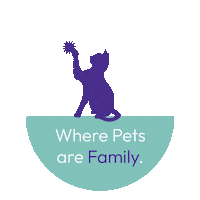 PanaceaVetsClinic cats pets vets petlover Sticker