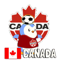 World Cup Football Sticker by Pudgy Penguins