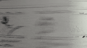 plotdevicesco director filmmaker filmmaking cinematography GIF