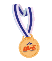 Run Correr Sticker by Assessoria Pace