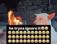 Twitter Joetrick GIF