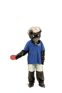 Ping Pong Sport Sticker by SuS Stadtlohn 19/20