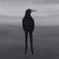 Animation Loop GIF by Pierre-Julien Fieux