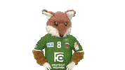 Handball-Bundesliga Berlin Sticker by LIQUI MOLY HBL