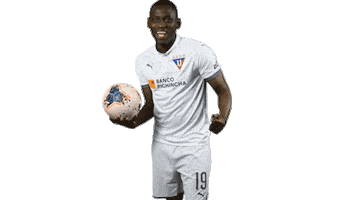 Gol Sticker by LDU_Oficial