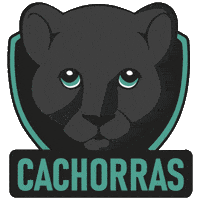 Sansebastian Sanse GIF by Fixpoint