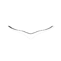 HOKARacer sports fitness white running Sticker