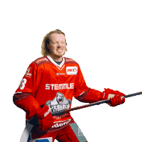 Goal Win Sticker by Eisbären Regensburg