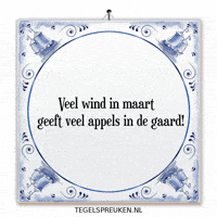 Wind Nl GIF by Tegelspreuken.nl