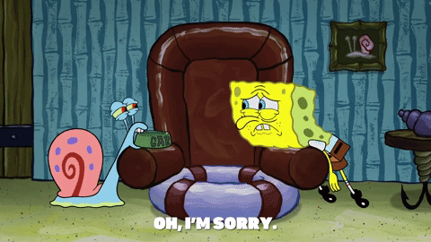 season 9 GIF by SpongeBob SquarePants