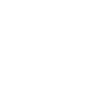 Wild Summer Sticker by smilodox.com