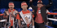 toprank fight boxing fighting fighters GIF
