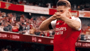 Premier League Celebration GIF