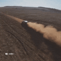 Rallying Fast Car GIF by FIA World Rally Championship