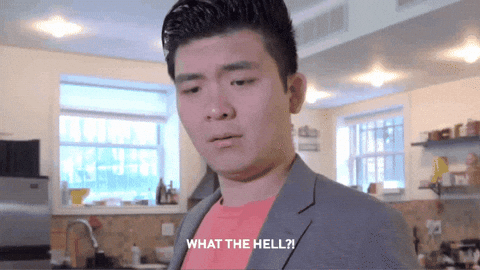 therightstuff giphygifmaker what the hell steven he GIF