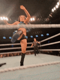 Wwe Kick GIF