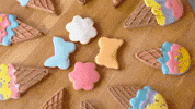 Food Coloring Blog GIF by Lesaffre MECA