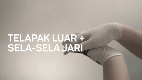 aulianaratama giphygifmaker GIF
