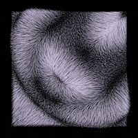 black and white love GIF by roberthruska