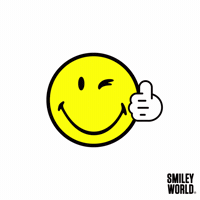 Wink Yes GIF by Smiley