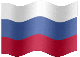 flag russia GIF