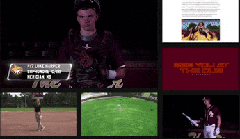 PRCCAthletics baseball softball wildcats juco GIF