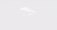 logo dragons GIF by Minnesota State University Moorhead
