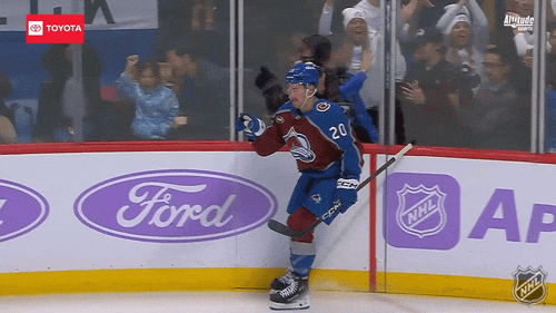 Happy Colorado Avalanche GIF by NHL