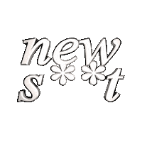 Party Fun Sticker by meet the edge