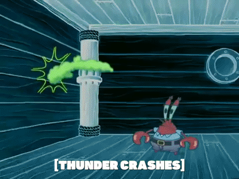 season 5 GIF by SpongeBob SquarePants