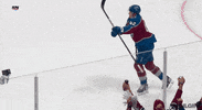 Happy Ice Hockey GIF by NHL