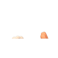 Paw Patrol Dog Sticker by Nick Jr