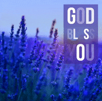 Goodmorning Beautiful Blessings Daily Flowers Foryou Justforyou Thinkingofyou GIF
