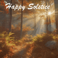 Winter Solstice Wizard GIF by TeaCosyFolk