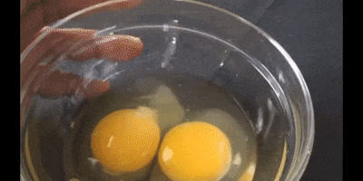 Education Cooking GIF by DIIMSA Stock