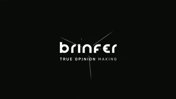 brinfer marketing brand influencer influencers GIF