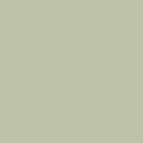 MoniqueVanWaes giphyupload amsterdamseschoolinterior GIF