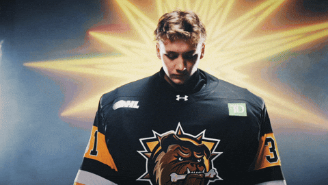 Nhl Ohl GIF by Brantford Bulldogs
