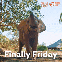 San Diego Zoo GIF by San Diego Zoo Wildlife Alliance