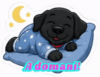 Oreo A Domani GIF