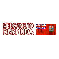 Flag Bermuda Sticker by Bermemes