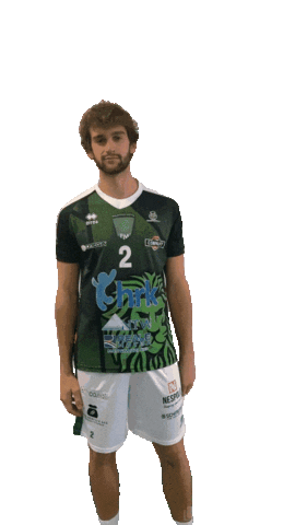 Volley Leoni Sticker by Pallavolo_motta