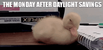 Tired Real Estate GIF by The Anna Gimpel Team