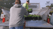 VTFacilities vt facilities cpif GIF