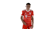 Hungry Football Sticker by FC Bayern Munich