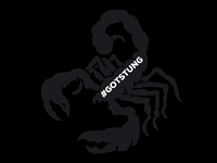 NachoDaddyLV nacho daddy nacho daddy lv nacho daddy vegas scorpion shot GIF